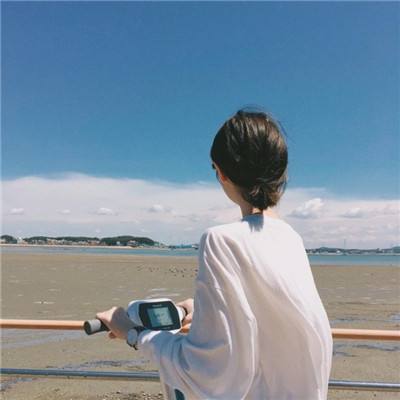 暗黑战域手游华为版下载